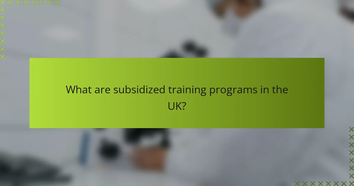 What are subsidized training programs in the UK?